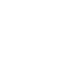 Sri lions software Web Security