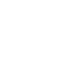 Sri lions software Programming