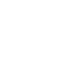 Sri lions software Logo & Icon Design